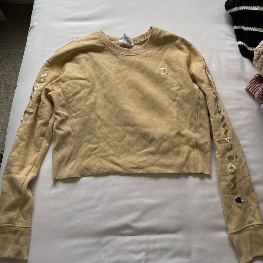 Champion Reverse Weave Cropped Crewneck